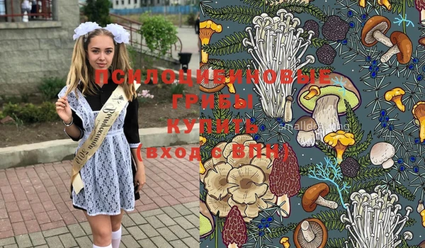 Альфа ПВП Гусиноозёрск