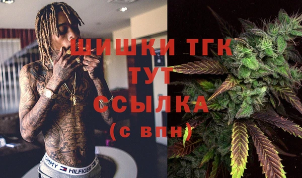 стафф Гусь-Хрустальный